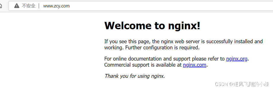nginx 配置指令之server_name(图5)