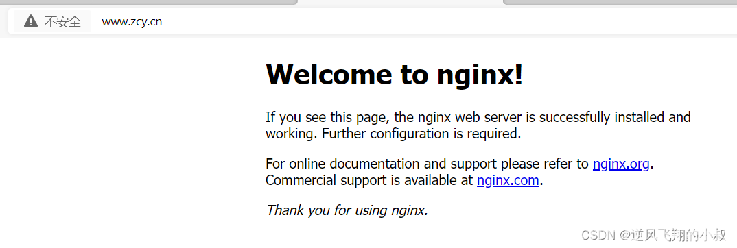 nginx 配置指令之server_name(图6)
