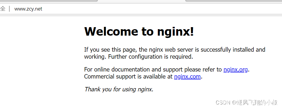 nginx 配置指令之server_name(图7)