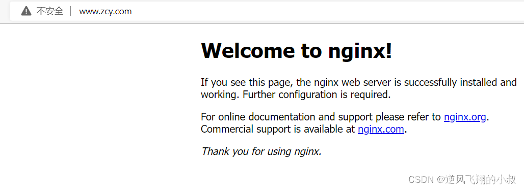 nginx 配置指令之server_name(图8)