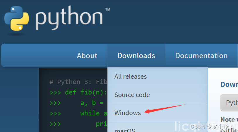 python安装教程（Windows最新）