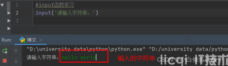 python的input函数用法